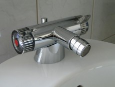 Damixa Bidet Armatur Bidetarmatur in Chrom